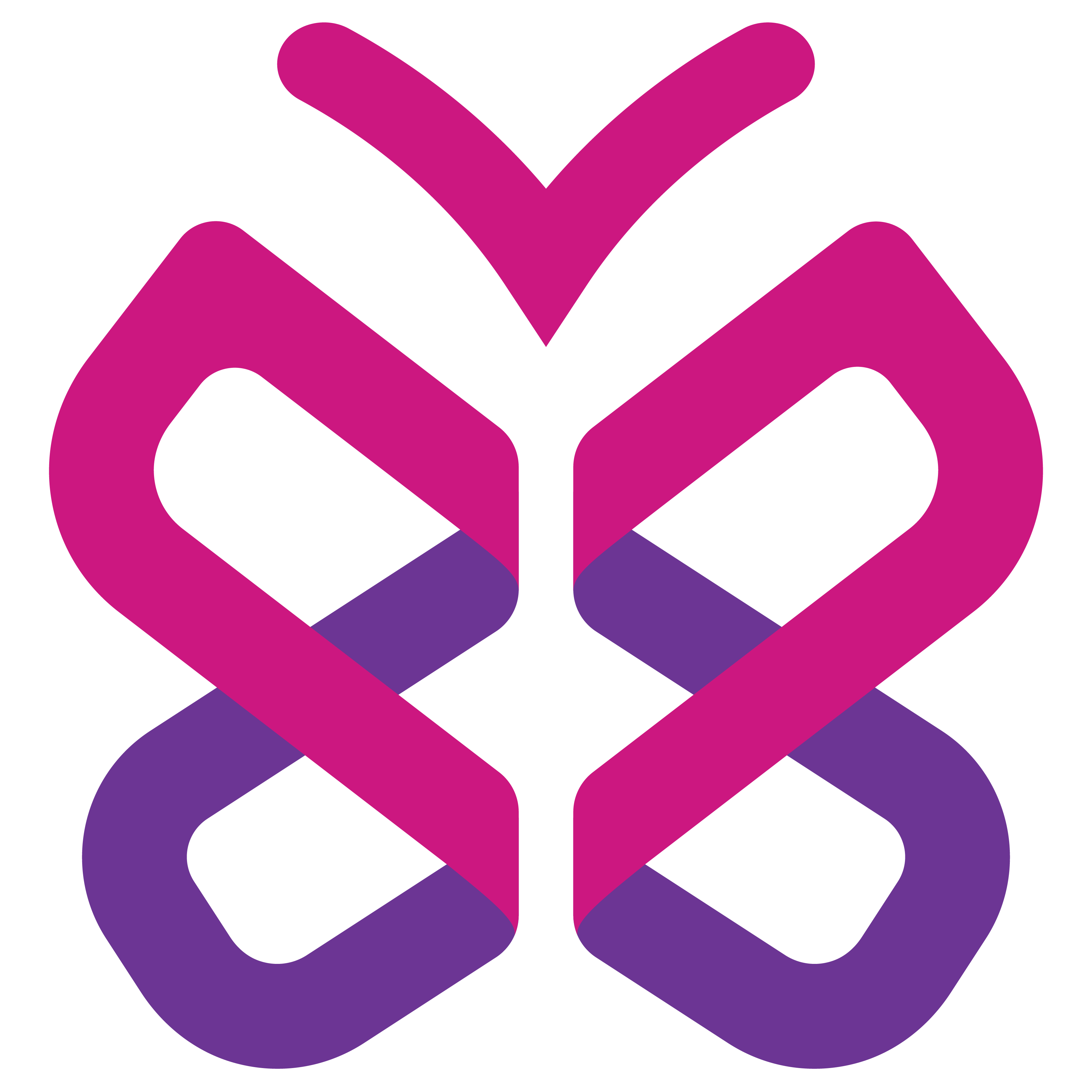 Victoria's Voice Stacked Logo